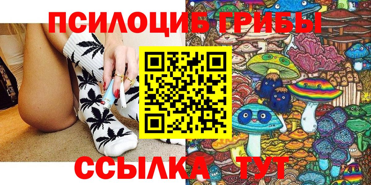 Псилоцибиновые грибы GOLDEN TEACHER  Вход с VPN  Прохладный 